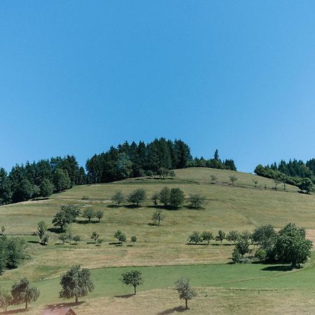 Moderne 2 Zi.-Fewo Blackforest Art Barrierefrei Naehe Freiburg Simonswald Buitenkant foto
