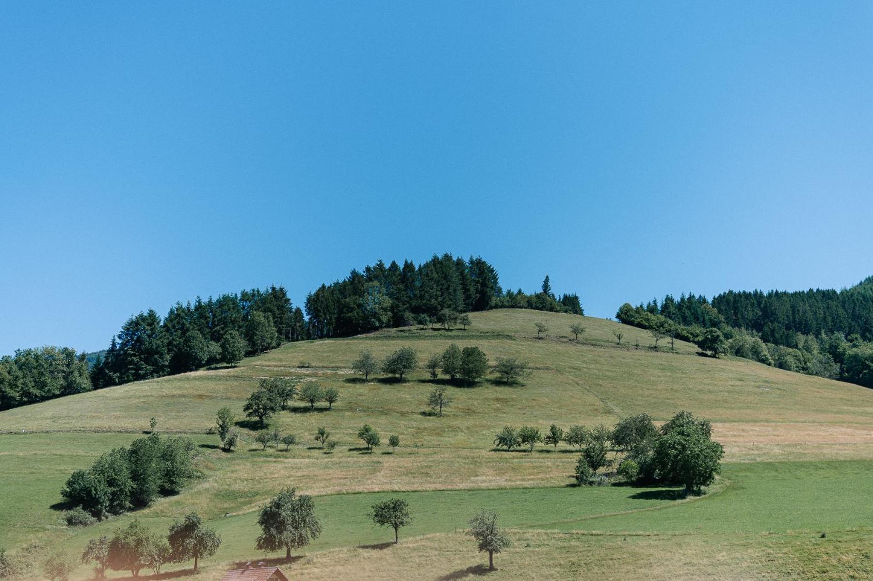 Moderne 2 Zi.-Fewo Blackforest Art Barrierefrei Naehe Freiburg Simonswald Buitenkant foto