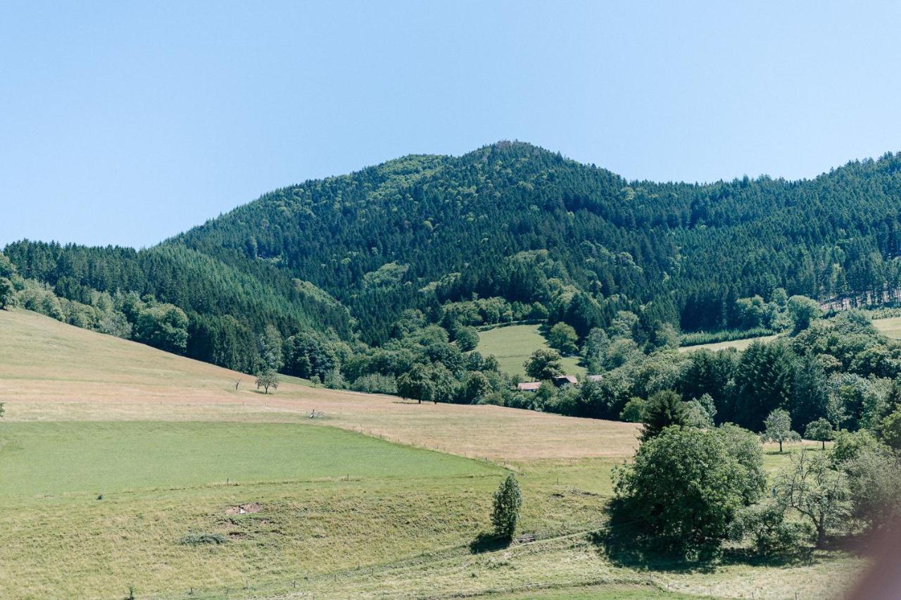 Moderne 2 Zi.-Fewo Blackforest Art Barrierefrei Naehe Freiburg Simonswald Buitenkant foto
